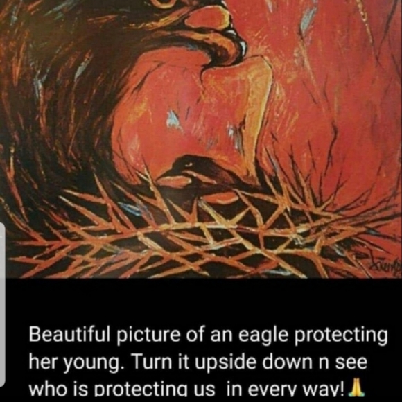 Meet your Posher, Charlotte - Picture 2 of 6